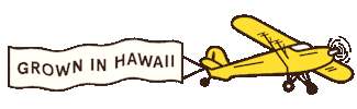 yomuzmuz Sticker