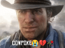 Red Dead Redemption Rdr2 GIF
