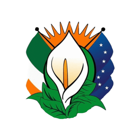 Irish Flag Ireland Sticker by Sinn Féin
