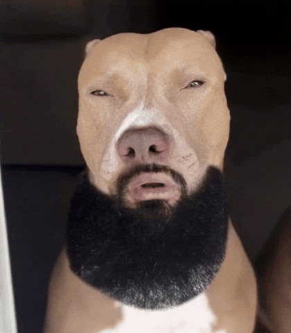 Sergito4R GIF