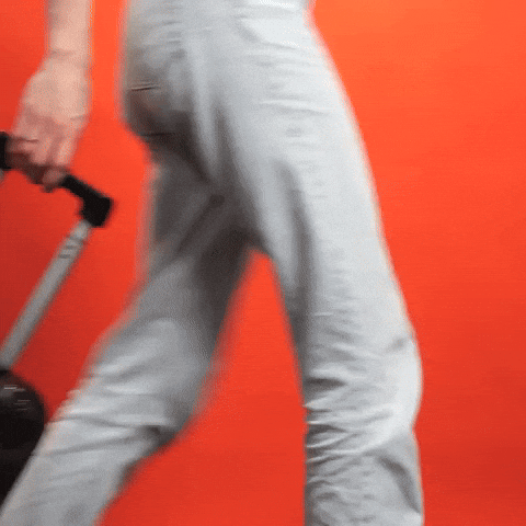 Travel Rolling GIF by Perspectief