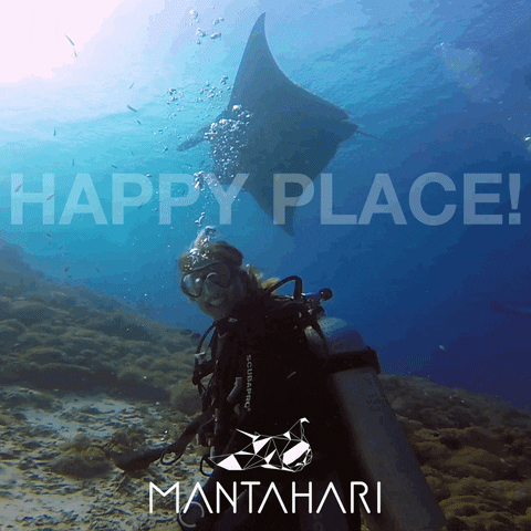 Manta Ray Bubbles GIF by Mantahari Ocean Care