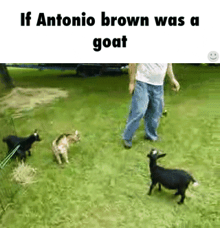 antonio brown