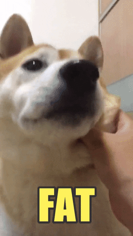 dog love GIF by Pamily