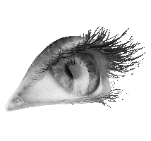 Lashes Extensions Sticker