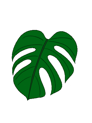 New Post Sticker