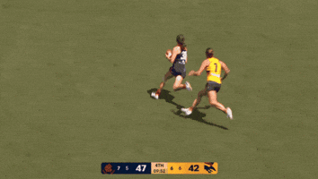 Aflw Melbourne Demons Shelley Heath GIF