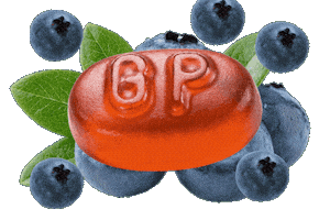 Voice Blueberry Sticker by Grether's Pastilles USA