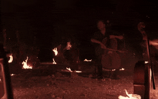 200.gif?cid=fc005b0821b809abc10f2053f7a4d3c5a71d6b502588647d&rid=200.gif&ct=g