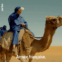 au service de la france asf2 GIF by ARTEfr