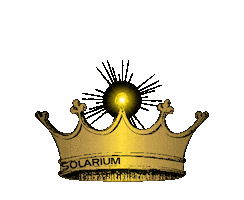 Kingsun Sticker