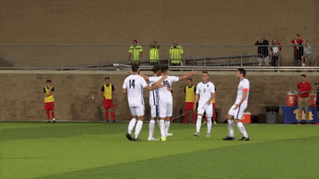 Mens Soccer Win GIF by Pitt Panthers