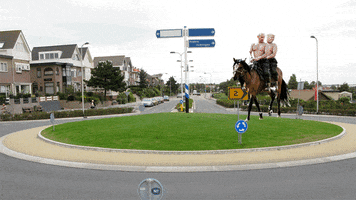 Roundabout GIF