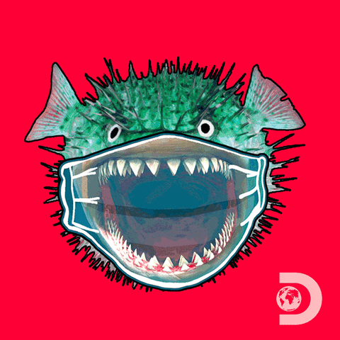 Fish Mask GIF by Shark Week