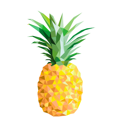 Pineapple Sticker by North Country Craft