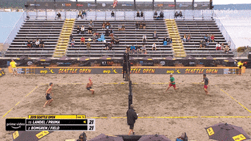 AVPBeach sports beach volleyball bvb GIF