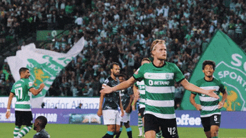 Football Sport GIF by Sporting CP