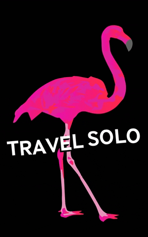 sologirlstravelguide girl pink travel girly GIF