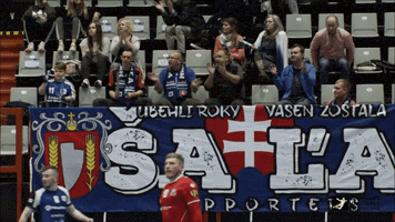 slovakhandball GIF