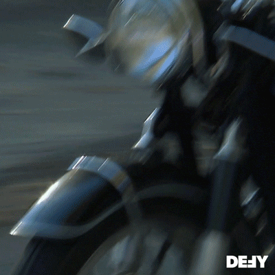 Joy Ride Dog GIF by DefyTV