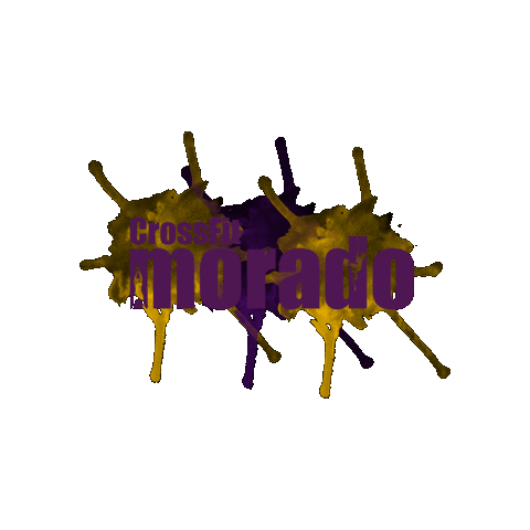 Training Spain Sticker by CrossFit morado