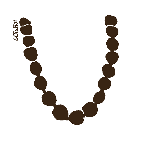 OluKai Sticker