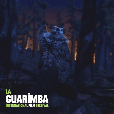 Screaming Lets Go GIF by La Guarimba Film Festival