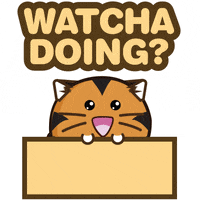 What You Doing Gifs Get The Best Gif On Giphy What You Doing Gifs Get The Best Gif On Giphy
