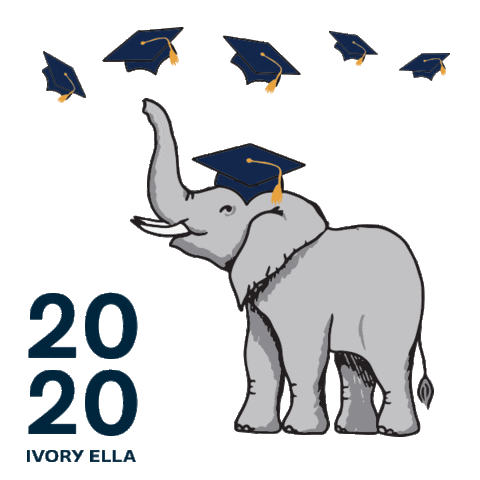 Class Of 2020 Sticker by Ivory Ella