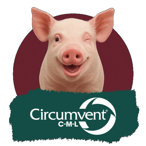 Saudeanimal Sticker by MSD Pecuária Brasil