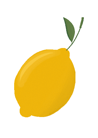 Lemon Fruit Citrus Sticker Instagram Art Drawing Procreate Sticker