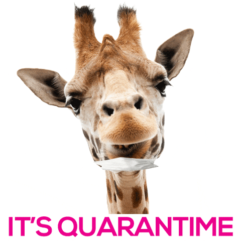 Agency Quarantine GIF by Giraffes