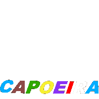Capoeira Sticker by capoeiraluebeckmli