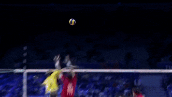 Power Yes GIF by Volleyball World