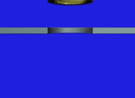 Tán Rive Ren Vít GIF