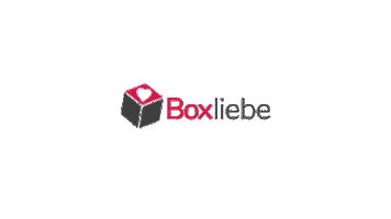 Logo Box Sticker by Boxliebe
