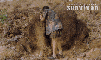 Search Looking GIF by Australian Survivor