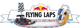 Flyinglaps Sticker by Red Bull