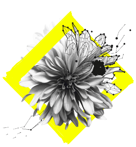 Cat Design Sticker by r&r