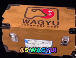 Wagyu GIF by WagyuTesorodejapon