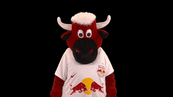 Red Bull Thumbs Up GIF by FC Red Bull Salzburg