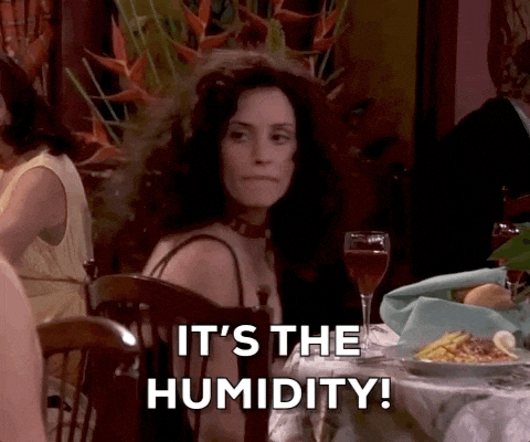 I Think So Season 2 GIF by Friends - Find & Share on GIPHY