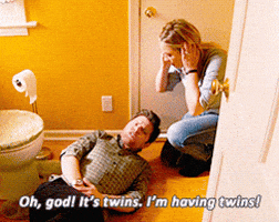 parks and recreation twins GIF