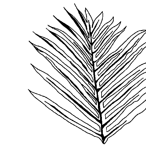 Rockett St George Sticker