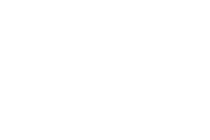 New Year Новый Год Sticker by fondsvet