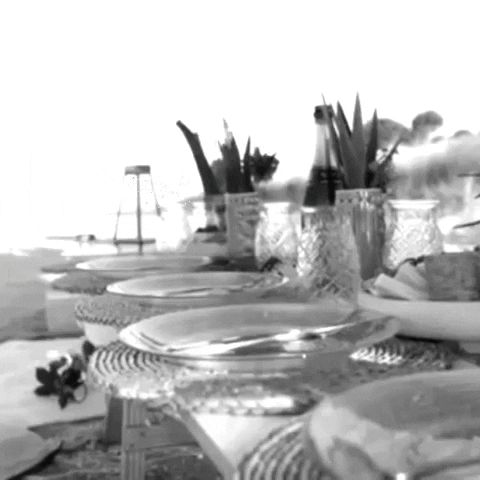 Mount longboards New Zealand GIF