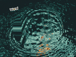 200.gif?cid=fc005b088bd9d78dc5a304e6981846c7a25a65f7ae0d15d2&rid=200.gif&ct=g