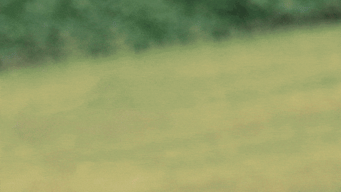 giphy.gif?cid=2154d3d7v5vbp680g2h8vz3ons