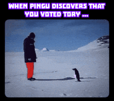 Animal GIF