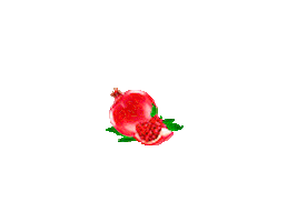 Granagardpy Sticker